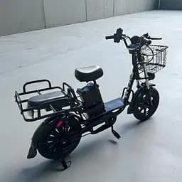 Електровелосипед Вантажний VOLTO Monster EKAM (2000W 60V 30Ah) +PAS - мініатюра 4