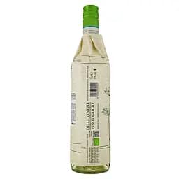 Вино Uccelli Delle Venezie Pinot Grigio, біле, сухе, 12,5%, 0,75 л - мініатюра 2