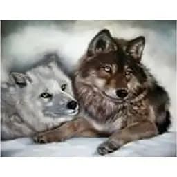 Алмазна вишивка мозаїка стразами повна викладка на підрамнику "Відданість" 40 * 30 вовки