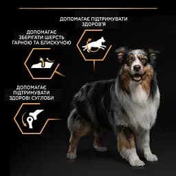 Сухий корм Purina Pro Plan Medium Adult 1+ Everyday Nutrion для дорослих собак середніх порід з куркою 3 кг (12279419) - мініатюра 7
