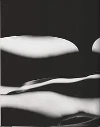 Ralph Gibson. Nude - мініатюра 6