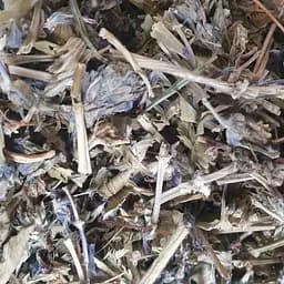 Живучка ползучая трава сушеная - свежий урожай 100 г