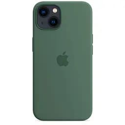 Чехол Silicone Case с MagSafe для Apple iPhone 13 (6.1) (Eucalyptus) ААА [69875]
