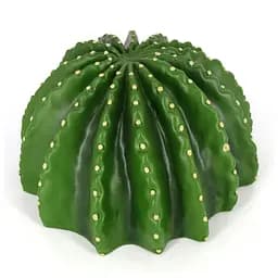 Декорація печера кактус Hobby Cactus Home 4 23x22x13,8см (36244) - мініатюра 5