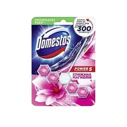 Блок для унітазу Доместос Domestos Крижана магнолія 55 г MD