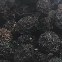 100 г терен/терн/дикая слива плоды/ягоды сушеные - свежий урожай