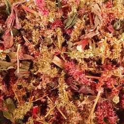 100 г амарант трава/цвет сушеный - свежий урожай