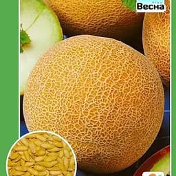 Дыня "Колхозница" ТМ "Весна" 1.5г (10130)