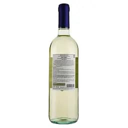 Вино Castellani Pinot Grigio IGT, біле, сухе, 12%, 0,75 л - мініатюра 2