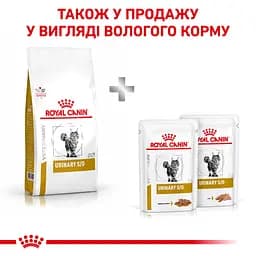 Сухий дієтичний корм для дорослих котів Royal Canin Urinary S/O при захворюваннях сечовидільної системи, 9 кг (3901009) - мініатюра 3