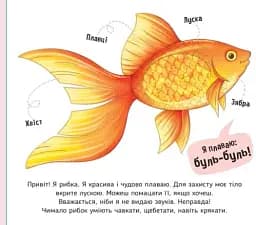 Познайомся і погладь. Мої улюбленці - мініатюра 5