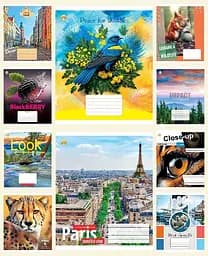 Тетради ученические 60 листов клетка Твердая ТЕ41601 Микс 1, 10 шт. в упаковке