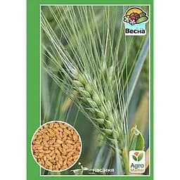 Пшениця озима ТМ Весна Житниця Одеська 10 кг (167042)