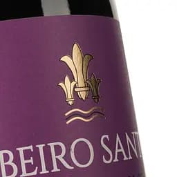 Вино Magnum Ribeiro Santo Touriga Nacional DO Dao 2020 червоне сухе 0.75 л - мініатюра 4