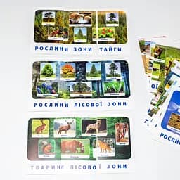 Набір тематичних карток Ранок Природні зони 13169002 для дітей 4-6 років - мініатюра 4