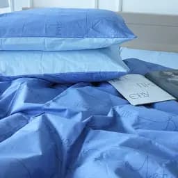 Наволочка MirSon Ranforce Elite 17-4745 Dreams 50х50 см (2200008931209)