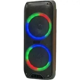 Портативна колонка XPRO RX-6268B валіза 10Вт USB SD FM радіо Bluetooth 1 мікрофон ДУ (MER-15665)