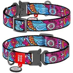 Ошейник для собак Waudog Nylon нейлоновый c QR паспортом, рисунок Лето, металлическая пряжка-фастекс, S, Ш 15 мм, Дл 23-35 см