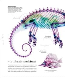 The Science of Animals - мініатюра 11