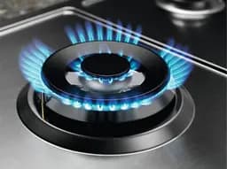 Варильна поверхня газова Electrolux 60 см чавун нержавіюча сталь - мініатюра 3