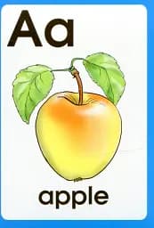 Англійська абетка ABC Words. Картки - мініатюра 2