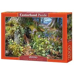Пазл Castorland Лісова галявина 2000 ел. (C-200764)