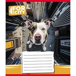 Зошит учнівський "Собака в місті" Leader 024-560077L-3 в лінію, 24 аркуші