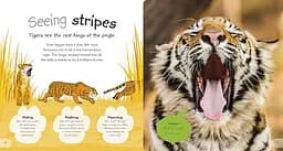 The Incredible Fold-Out Book of Animals - мініатюра 5