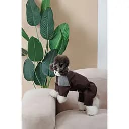 Костюм для собак Pet Fashion Locky ХS коричневий - мініатюра 4