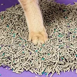 Наповнювач для лотків PETKIT 5-IN-1 PKCL04 - мініатюра 4