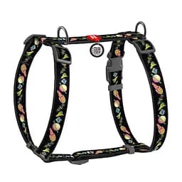 Шлея для собак анатомічна Waudog Nylon А Рік і Морті 3, М, чорний (5150-0282)