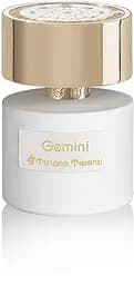 Экстракт Tiziana Terenzi Gemini 100 мл 