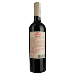 Вино Vinas Argentinas Red Blend червоне сухе 0.75 л - мініатюра 2
