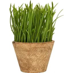 Штучна трава Devilon у картонній коробці зелена 15 см (960330)