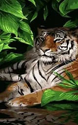 Набір для розпису по номерах Тигр у листі, Strateg, 50x25 см, WW025