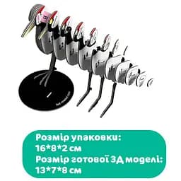 Збірна 3Д модель Eugy Зоопарк: Лелека 125 деталей (XEG-125) - мініатюра 5