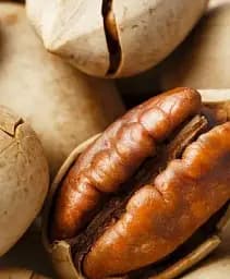 Саженец Agro-Market Орех Пекан Columbian саженец 2 года (ранний срок созревания) 1 шт. в упаковке (175181)