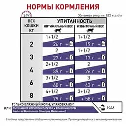 Консервований корм для дорослих котів Royal Canin Neutered Maintenance з моменту стерилізації до 7 років, 85 г (40890019) - мініатюра 2