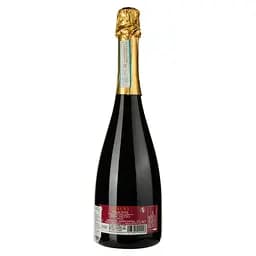 Уцінка. Вино Manfredi Patrizi Suagna Piemonte Brachetto Dolce червоне солодке 0.75 л - мініатюра 2