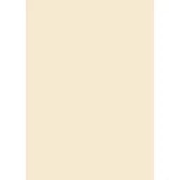 Папір для дизайну Folia Tintedpaper А4 (21x29.7см) №08 бежевий 130г/м2 без текстури