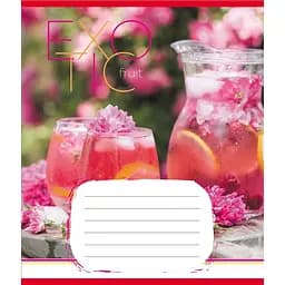 Зошит загальний "Екзотичні фрукти" Leader 048-590098K-2 в клітинку, 48 аркушів