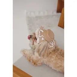 Панама Pet Fashion Print для собак XL - мініатюра 3