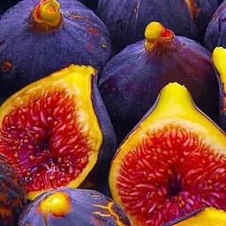 Саджанець Agro-Market Інжир темно-фіолетовий Ранок Вероніки (Morning Veronica) (преміальний, самозапильний, ремонтантний сорт) (48122) 1 шт. в упаковці