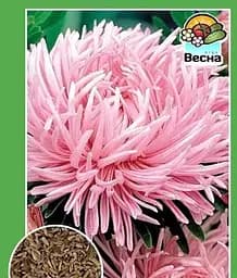 Семена Весна Астра Гигантские лучи розовая 0.2 г (49717)