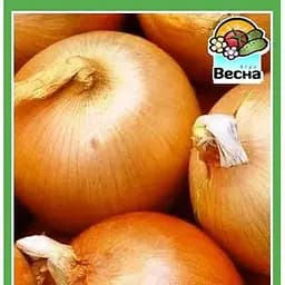 Насіння Весна Цибуля Штутгартен Різен 2 г (10346)