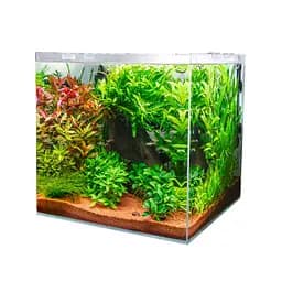 Акваріум з ультрабілого скла Dupla Scaping Cube 80 45x45x40 см (80892) - мініатюра 5