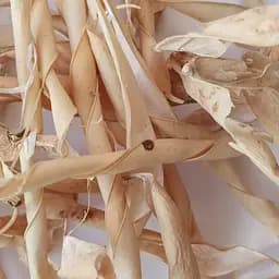 100 г фасоль створки сушеные - свежий урожай