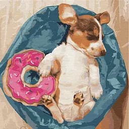 Набор для росписи по номерам Сладкие сны питомца, 40x40 см