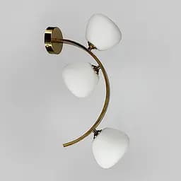 Вражаючий стіновий світильник Modern Floral Arch на 3 плафони Line F C 18B/3 AB