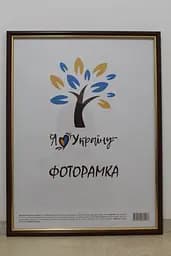 Фоторамка 30х42, світло-коричнева із золотою вставкою, 1515-5120, СКЛО + ДВП                                                                                                                                                                                                                                                                                                                                                                  